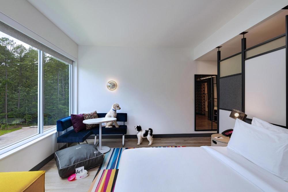 Dog Lover's, Guest room, 1 King interior